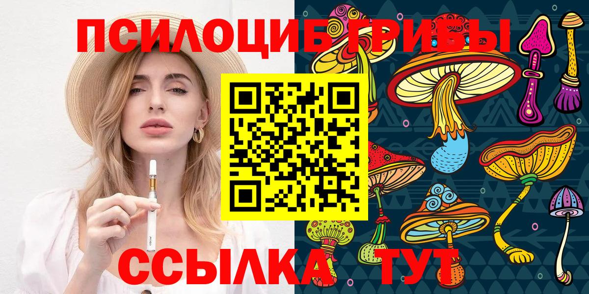 закладка  Вход с VPN  Хасавюрт  Галлюциногенные грибы Magic Shrooms  Псилоцибиновые грибы мухоморы 