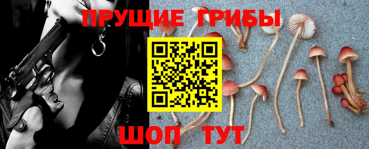 Галлюциногенные грибы мицелий Хасавюрт